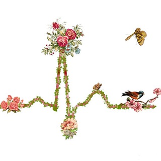 THE SYNAPSUS CARDIOLOGY ECG / КАРДИОЛОГИЯ ЭКГ