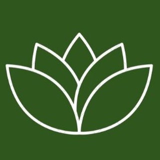 КЛИНИКА ВИТАЛАБ | НЕКРАСОВКА