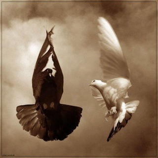 ЖЕНСКОЕ ЗДОРОВЬЕ С ДОКТОРОМ ГРИЦИК