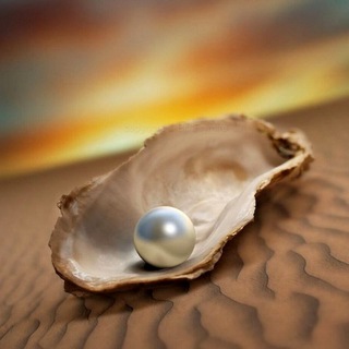 ДРАГОЦЕННАЯ ЖЕМЧУЖИНА