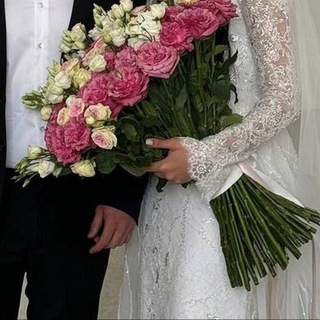 ᴄᴀᴛᴏХᴧᴀ.