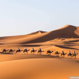 ПУТЕШЕСТВИЯ С ЭЙНАТ КЛЯЙН