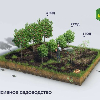 БОГДОРЧИЛИК НИХОЛАРИ