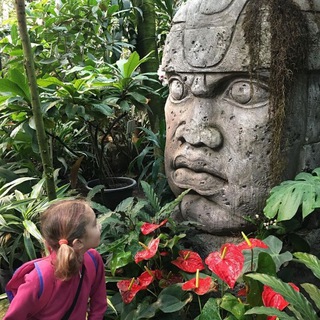 БОЛТАЕМ В ТРОПИКАХ