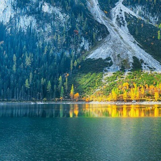 РАЗУМНЫЕ ФИНАНСЫ