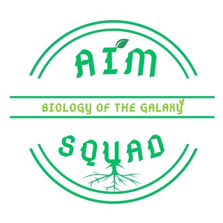 AIM SQUAD (QUIZLET)