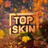 TOPSKIN