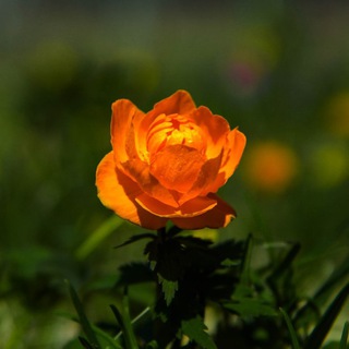 ХАКАССКИЙ ЯЗЫК