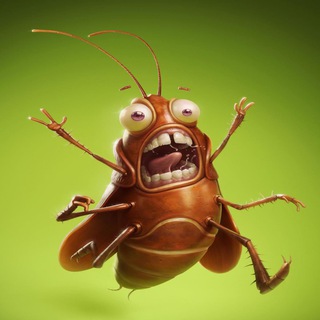 ПОЛИТИКА ПОД ПЛИНТУСОМ