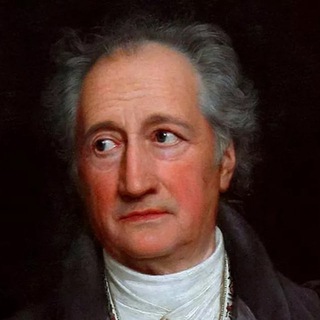 ЗАПИСКИ ГЁТЕ