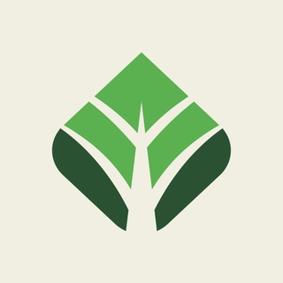 «МСБ-ЛИЗИНГ» — КАНАЛ ДЛЯ ИНВЕСТОРОВ