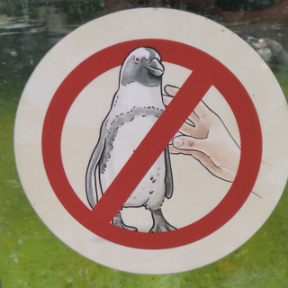 ГОВНА ПИРОГА