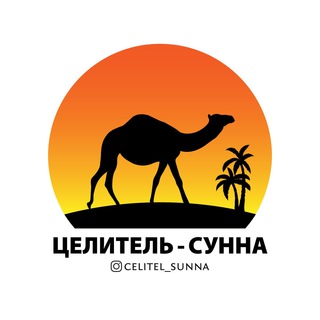 ЦЕЛИТЕЛЬ СУННА