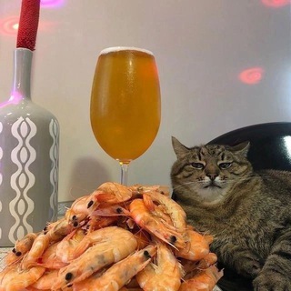 ЗЛИМ БЫВШЕГО