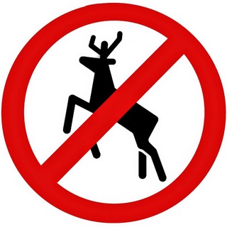 ЧАТ ВОДИТЕЛИ ПОЛЬШИ ДАЛЬНОБОЙ ЕВРОПА