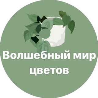ВОЛШЕБНЫЙ МИР ЦВЕТОВ