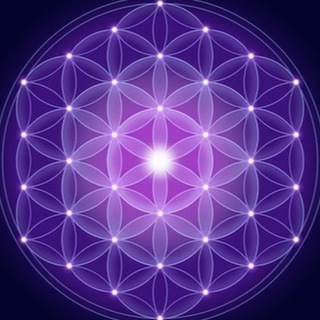 ЖК «САМОЦВЕТЫ» СПБ