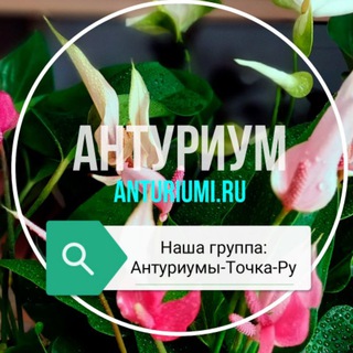 УХОД ЗА АНТУРИУМОМ