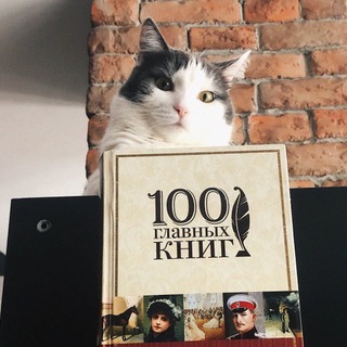 КНИЖКИ И КОТИКИ