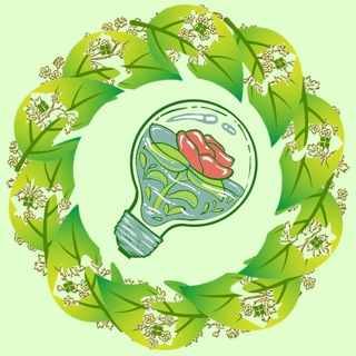 ERSAGИНГРЕДИЕНТЫ