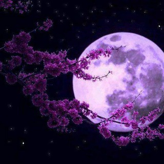 ВЕРХОВНАЯ ЖРИЦА