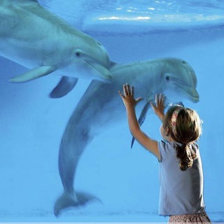 PEDIATRIC ЕXPERT SONOGRAPHY