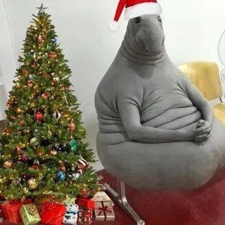 ЖДУНЫ ЗАПОРОЖСКОЙ ОБЛАСТИ