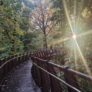 КУДА СХОДИТЬ В МОСКВЕ? АФИША ГОРОДА