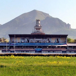 ПЯТИГОРСКИЙ ИППОДРОМ