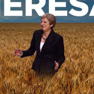 ПШЕНИЧНЫЕ ПОЛЯ ТЕРЕЗЫ МЭЙ