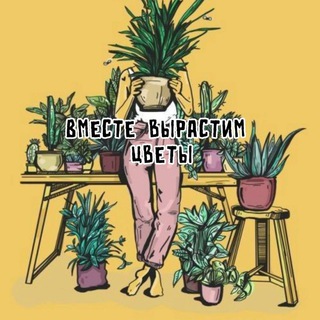 ВМЕСТЕ ВЫРАСТИМ ЦВЕТЫ!