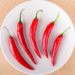 ЧАТ СТОЙКОГО РЕСТОРАТОРА ;)