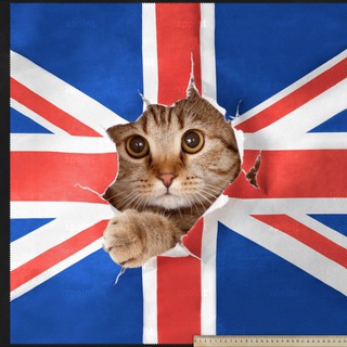 КУРСЫ ИНОСТРАННЫХ ЯЗЫКОВ