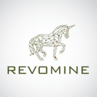 REVOMINE- INVESTMENT GROUP