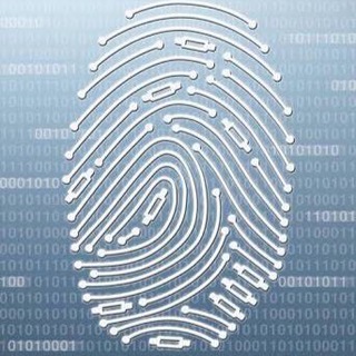 ANÁLISE FORENSE BRASIL