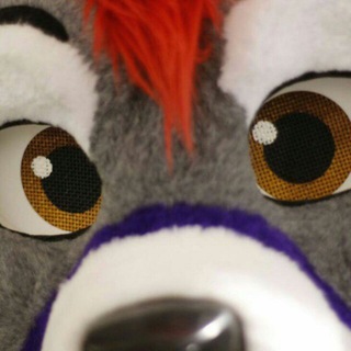 DFW FURS PG-13