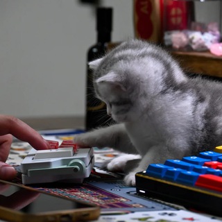 MECHANICAL KEYBOARD