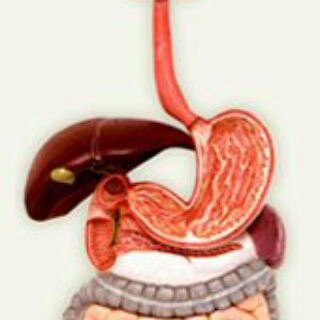 GASTROENTEROLOGY