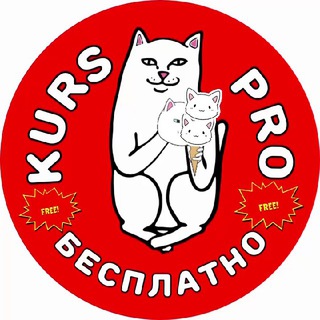 KURSPRO  БЕСПЛАТНЫЕ КУРСЫ