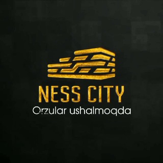 NESS CITY