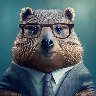 МУДРЫЙ БОБР