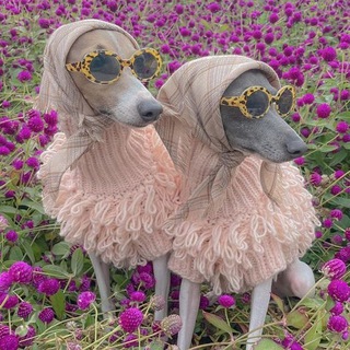 ШМОТКИ ОТ КРОШЕК ДЛЯ КРОШЕК