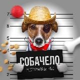 СОБАЧЕЛО