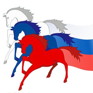 МНЕНИЕ РОССИЯНИНА