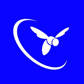 СТУДОТРЯДЫ ТАМБОВА