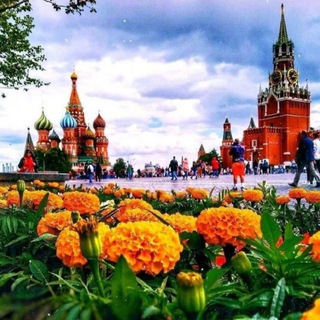 MOSCOW | CHAT NUMBER 1 )