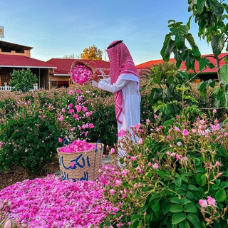 ᴛᴀʏʜꞮᴅ SᴀʟʏᴀҒ