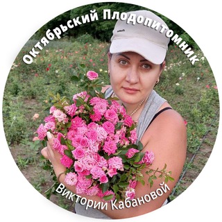 ОКТЯБРЬСКИЙ ПЛОДОПИТОМНИК ВИКТОРИИ КАБАНОВОЙ. САЖЕНЦЫ ОКС