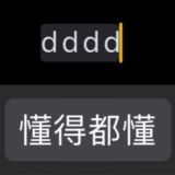 懂得都懂 DDDD