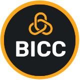 BICC: ЭКСПОРТНЫЙ ИТ БИЗНЕС В БЕЛАРУСИ